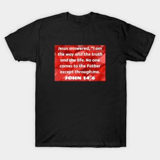 Bible Verse John 14:6 T-Shirt